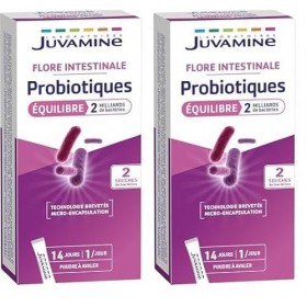 JUVAMINE - Probiotiques Equilibre - 2 Souches - Flore intestinale - 2 Milliards de Bactéries - Bactéries arrivant vivantes da...