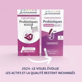 JUVAMINE - Probiotiques Equilibre - 2 Souches - Flore intestinale - 2 Milliards de Bactéries - Bactéries arrivant vivantes da...