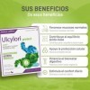 DIETMED ULCYLORI PROTECT 20sticks – complément alimentaire en sachets à diluer, étui de 20 sachets-dose, idéal pour ceux qui