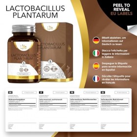LN Lactobacillus Plantarum | 90 Capsules du Probiotic L-Plantarum - 5 milliards CFU par portion | Probiotique Prebiotique | S