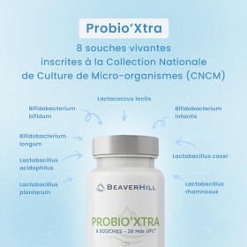 PROBIO’XTRA | Probiotiques | 8 souches vivantes | 60 Gélules végétales | BEAVERHILL | Confort digestif – Humeur – Stress – Im