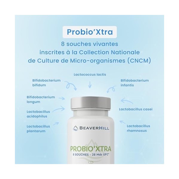 PROBIO’XTRA | Probiotiques | 8 souches vivantes | 60 Gélules végétales | BEAVERHILL | Confort digestif – Humeur – Stress – Im