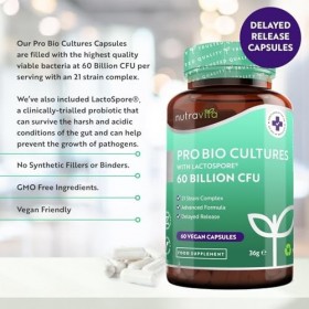 Nutravita Probiotique Flore Intestinale 60 milliards dUFC - 21 Souches Bactériennes avec Lactospore® Inuline Lactobacillus B