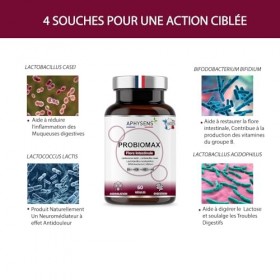 Probiotiques Flore Intestinale | Entretien du Microbiote | Digestion, Immunité & Bien-Être | 4 souches optimisées, 60 Gélules