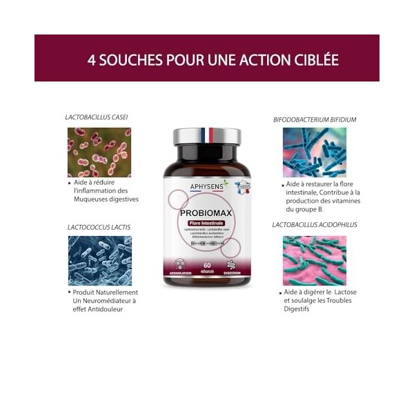 Probiotiques Flore Intestinale | Entretien du Microbiote | Digestion, Immunité & Bien-Être | 4 souches optimisées, 60 Gélules