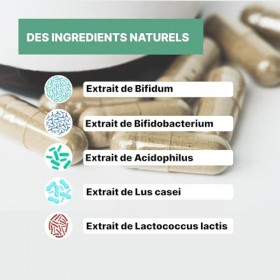 Probiotiques | Qualité Premium | Dosage Fort | 8 Souches | Officine Immortelle