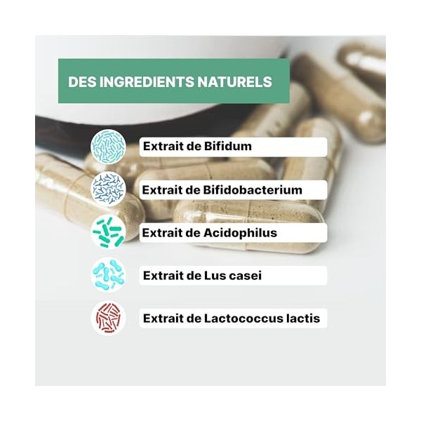 Probiotiques | Qualité Premium | Dosage Fort | 8 Souches | Officine Immortelle
