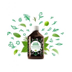 Vita Biosa Original 500 ml de qualité bio – Boisson fermentée avec bactéries lactiques issues de 19 herbes – Micro-organismes