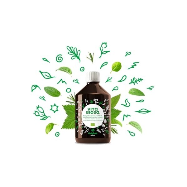 Vita Biosa Original 500 ml de qualité bio – Boisson fermentée avec bactéries lactiques issues de 19 herbes – Micro-organismes
