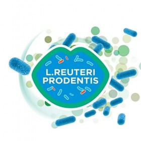 GUM PerioBalance/Complément alimentaire/Contient Limosilactobacillus reuteri Prodentis/Agréable arôme à menthe fraîche / 2 x 