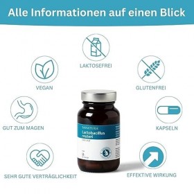 Sanatura Lactobacillus reuteri – 60 Kapseln – Milchsäurebakterien inaktiviert – wohltuend für den Magen – 20 Mrd pro Tagesdos