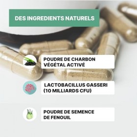 PROBIOTIQUE VENTRE PLAT | Affine votre silhouette | Perte de poids | Bien-être digestif | Anti-ballonnements | Fenouil | Lact