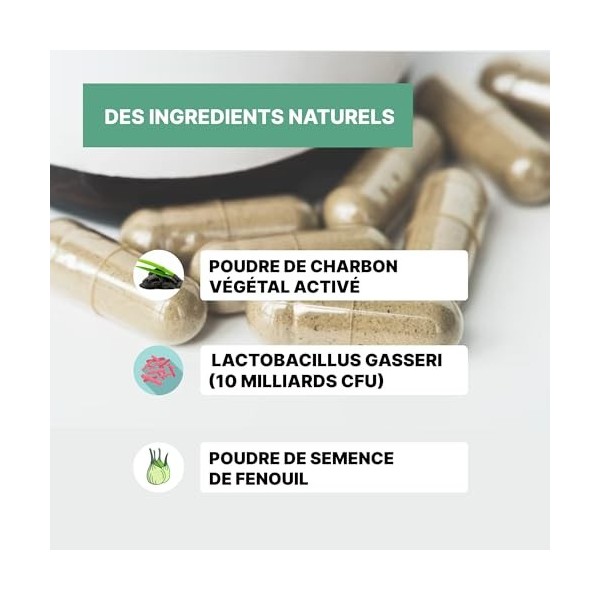 PROBIOTIQUE VENTRE PLAT | Affine votre silhouette | Perte de poids | Bien-ĂŞtre digestif | Anti-ballonnements | Fenouil | Lact