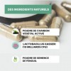 PROBIOTIQUE VENTRE PLAT | Affine votre silhouette | Perte de poids | Bien-ĂŞtre digestif | Anti-ballonnements | Fenouil | Lact