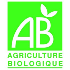 SEVE DE BOULEAU Bio fraiche de qualité Française bag-in-box 3L