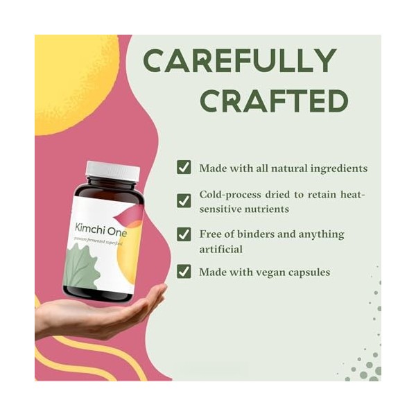 Poudre de kimchi, probiotiques, enzymes et antioxydants, superaliment de qualité supérieure pour la santé intestinale pour le