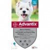 Advantix Spot On 100 Anti Vlo et Teek 4 - 10 kg 6 pipettes