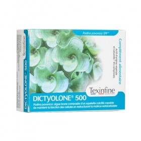 DICTYOLONE 500 TEXINFINE 45 comprimés