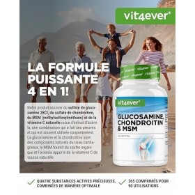 Glucosamine Chondroïtine MSM - 365 Comprimés - Hautement dosé à 2000 mg par jour - 3 mois dapprovisionnement - Sans additifs
