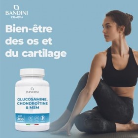 Bandini® Glucosamine Chondroïtine MSM + Vitamine C | 366 comprimés - 6 mois | Réduit inflammations des articulations, renforc