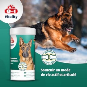 8in1 Comprimés de glucosamine avec MSM – complément Alimentaire pour Chiens Adultes et âgés, 1 boîte 55 comprimés Glucosamine