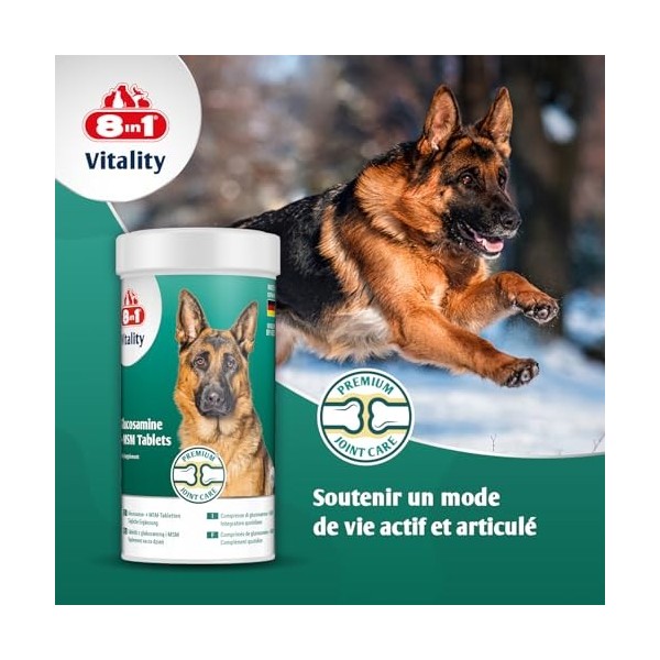8in1 Comprimés de glucosamine avec MSM – complément Alimentaire pour Chiens Adultes et âgés, 1 boîte 55 comprimés Glucosamine