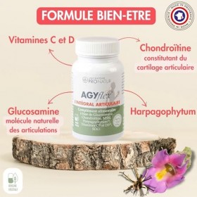 AGYflex L’INTEGRAL ARTICULAIRE - Lot de 2 – Complément alimentaire articulations – Glucosamine, Chondroïtine, MSM, Harpagophy