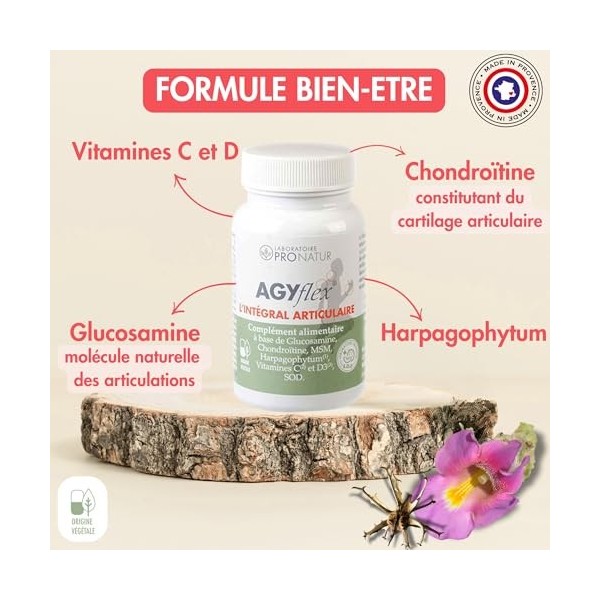 AGYflex L’INTEGRAL ARTICULAIRE - Lot de 2 – Complément alimentaire articulations – Glucosamine, Chondroïtine, MSM, Harpagophy