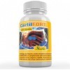 El Valle Cartilfort Cart.Tiburon+Sulf.glucosamine 230 Cap. 1 unité 300 g