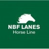 NBF Lanes | Foal UP Croissance - Aliment pour le développement normal du poulain avec glucosamine et vitamines essentielles