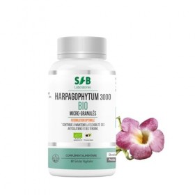 HARPAGOPHYTUM 3000 BIO - Micro-encapsulé - Articulations & Cartilages - Douleurs Articulaires - Système Immunitaire - 3000 mg