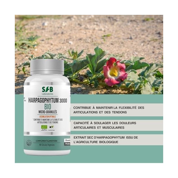 HARPAGOPHYTUM 3000 BIO - Micro-encapsulé - Articulations & Cartilages - Douleurs Articulaires - Système Immunitaire - 3000 mg
