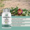 HARPAGOPHYTUM 3000 BIO - Micro-encapsulé - Articulations & Cartilages - Douleurs Articulaires - Système Immunitaire - 3000 mg