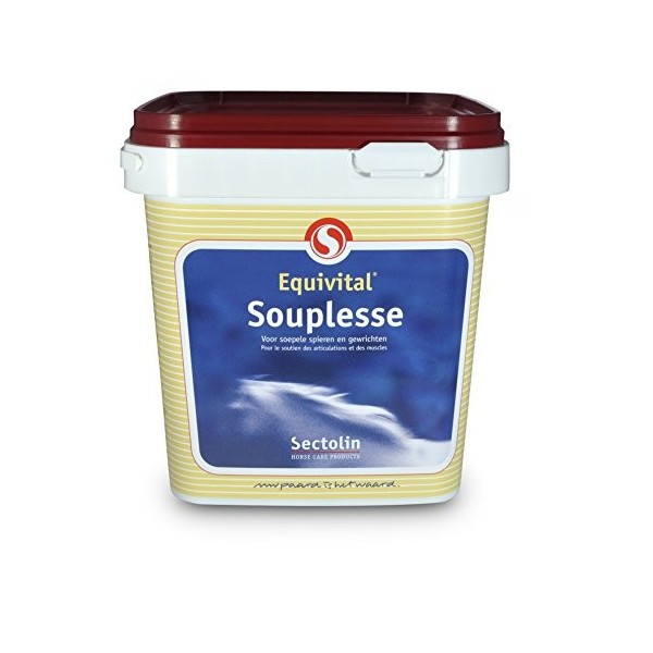 Sectolin Equivital Glucosamine, Chondroïtine & MSM - 1 kg