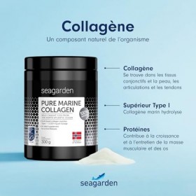 Seagarden Collagène marin en poudre pur Type I -Pour les articulations, les Os, les Muscles, la Peau - Pre Workout Booster Pu...