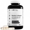 Collagène Marin avec Acide Hyaluronique, Coenzyme Q10, Vitamine C et Zinc. 180 gélules pour 3 mois de traitement. 900 mg de p