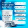 Colladent peptides de collagène hautement absorbables - Avec peptides de collagène bioactifs Solugel 300 g