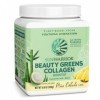 Sunwarrior Beauty Greens Collagène Booster Pina Colada 300 g 1 Unité