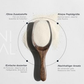 Halal Collagène Poudre [450g] - Pur Collagène Hydrolysat Type I & III - Bovins nourris à lherbe de Turquie - Certifié Halal 