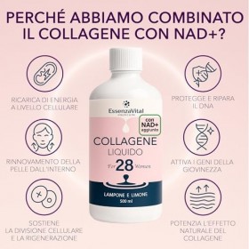 Essenzavital Collagène hydrolysé liquide buvable avec NAD+ et acide hyaluronique pour femmes - 13 g par dose - peau, cheveux 