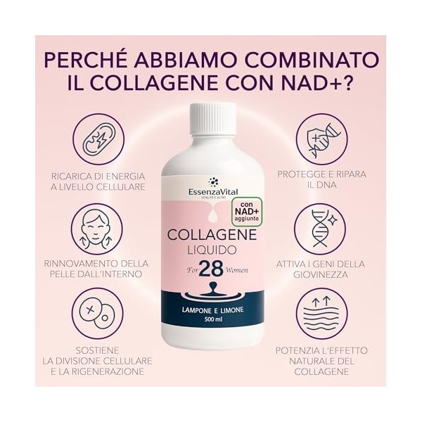 Essenzavital Collagène hydrolysé liquide buvable avec NAD+ et acide hyaluronique pour femmes - 13 g par dose - peau, cheveux 