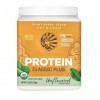 Nutrition Protein Classic Plus Poudre de protéine, sans OGM, sans gluten, sans produits laitiers, végétalien, 375 g