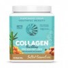 SunWarior Collagen Building Protein Peptides, caramel salé, sans gluten, sans produits laitiers, 500 g