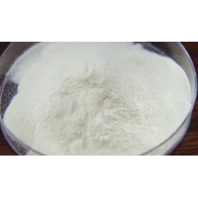 WonderLand Herbs Peptide protéine de collagène pour homme - 100 g.