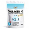 GOLDEN PEANUT Collagène IQ 450 g poudre hydrolysat bioactive Collagène