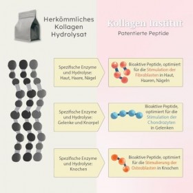 Kollagen Institut Poudre de collagène multi-doses - Peptides de collagène hautement dosés - Hydrolysat de collagène bioactif 