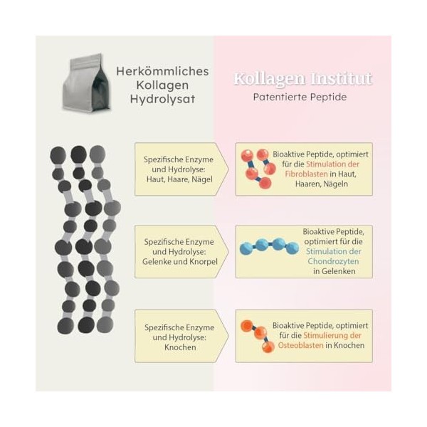 Kollagen Institut Poudre de collagène multi-doses - Peptides de collagène hautement dosés - Hydrolysat de collagène bioactif 