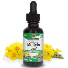 Extrait fluide feuille de molène noire, 2000 mg, 30 ml