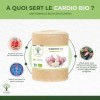 Cardio Bio - Bioptimal - Complément alimentaire - 4 plantes pour la Tension et la Circulation du Sang - Ail Aubépine Olivier ...