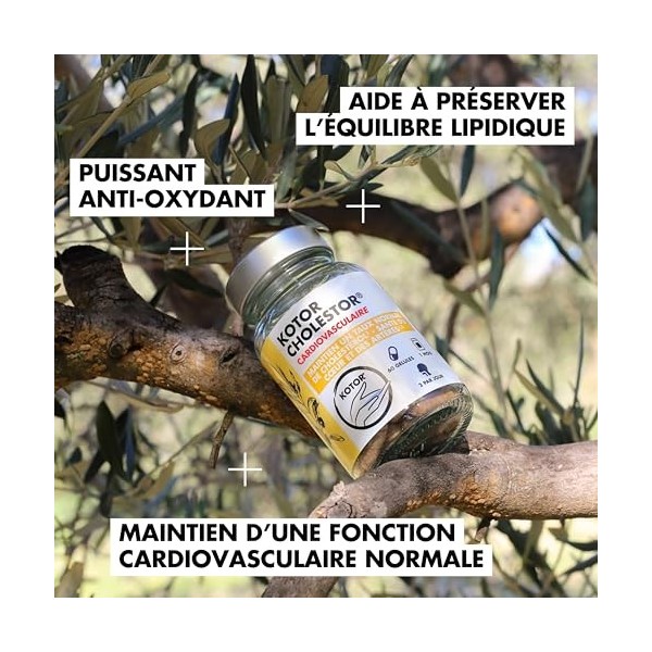 AIL NOIR Triplement Fermenté et extrait d’OLIVIER | Équilibre Cardiovasculaire, Lipidique et Circulation Sanguine | RICHE en 